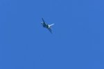 Dcim18011/DSC_4021