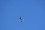 Dcim18012/DSC_4103