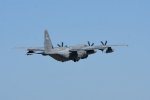 Dcim18012/DSC_4206