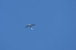 Dcim18013/DSC_4256