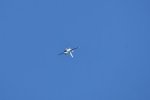 Dcim18013/DSC_4257