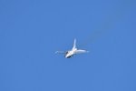 Dcim18013/DSC_4261