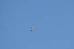 Dcim18013/DSC_4290