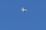 Dcim18013/DSC_4305