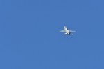 Dcim18013/DSC_4306