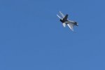 Dcim18013/DSC_4318