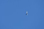 Dcim18013/DSC_4321