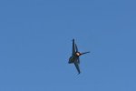 Dcim18014/DSC_4326