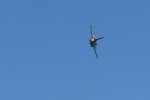 Dcim18014/DSC_4327