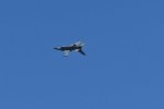 Dcim18014/DSC_4381