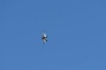 Dcim18014/DSC_4383