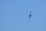 Dcim18014/DSC_4391