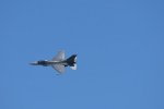 Dcim18014/DSC_4413