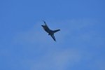 Dcim18014/DSC_4419