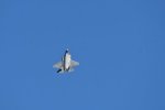 Dcim18015/DSC_4462