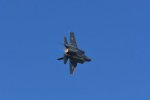 Dcim18015/DSC_4497