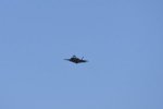 Dcim18015/DSC_4516