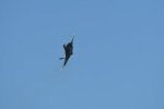 Dcim18017/DSC_4714
