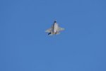 Dcim18017/DSC_4735