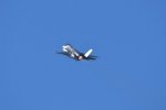 Dcim18017/DSC_4759