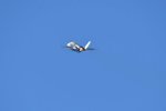 Dcim18017/DSC_4761