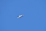 Dcim18018/DSC_4793