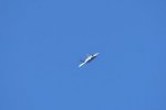 Dcim18018/DSC_4794