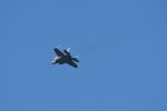 Dcim18018/DSC_4805