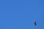 Dcim18018/DSC_4830