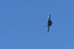 Dcim18018/DSC_4844