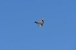 Dcim18018/DSC_4849