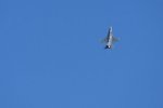Dcim18019/DSC_4908