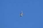 Dcim18019/DSC_4909