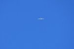 Dcim18019/DSC_4914