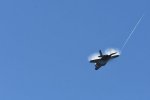 Dcim18019/DSC_4917