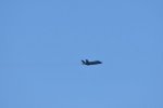 Dcim18019/DSC_4955