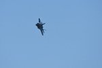 Dcim18019/DSC_4993