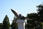 Dcim18021/DSC_5159