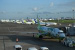 Dcim18024/DSC_5225