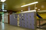 Dcim18025/DSC_5441