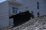 Dcim18026/DSC_5494