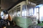 Dcim18028/DSC_5745