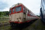 Dcim18031/DSC_6038