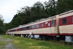 Dcim18032/DSC_6092