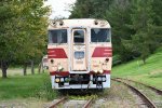 Dcim18033/DSC_6143