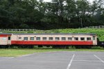 Dcim18033/DSC_6235