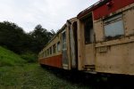 Dcim18034/DSC_6259