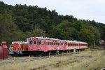 Dcim18034/DSC_6262