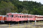 Dcim18034/DSC_6263