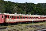 Dcim18034/DSC_6267